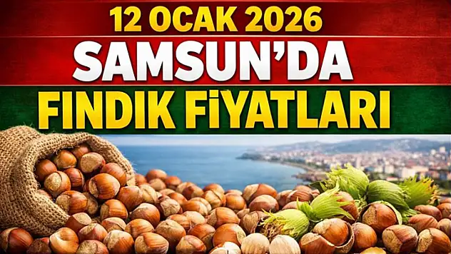 12 Ocak 2026 Samsun'da fındık fiyatları
