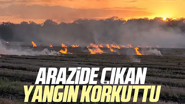 Arazide Çıkan Yangın Korkuttu