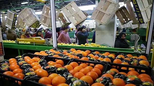 İhracatta ilk çeyrek rekoru