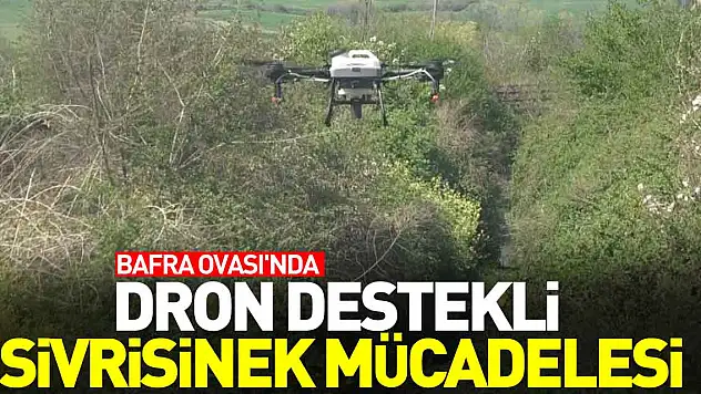 Dron destekli sivrisinek mücadelesi