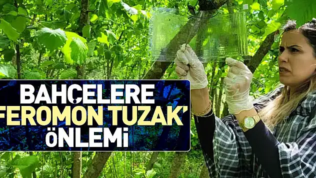 Bahçelere 'feromon tuzak' önlemi