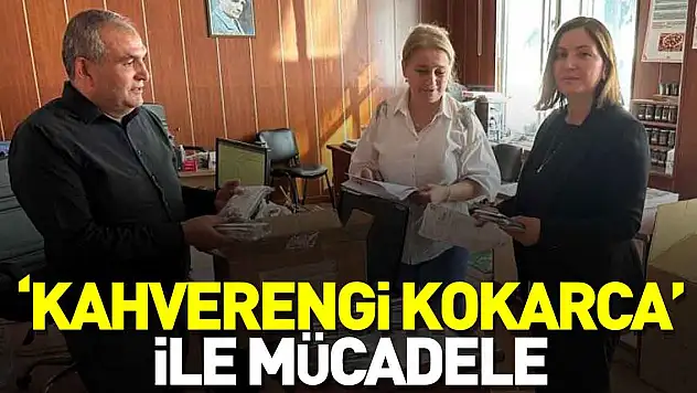 'kahverengi kokarca' ile mücadele