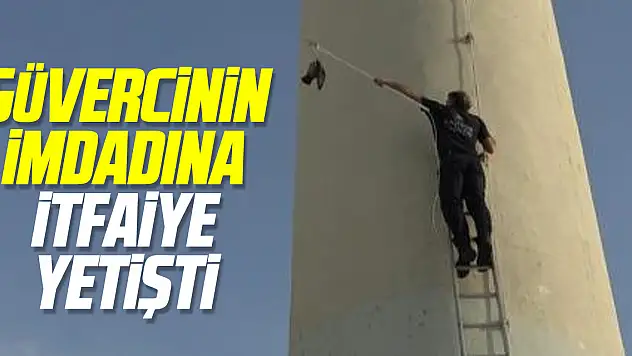 Güvercinin imdadına itfaiye yetişti