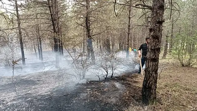 Orman yangını korkuttu