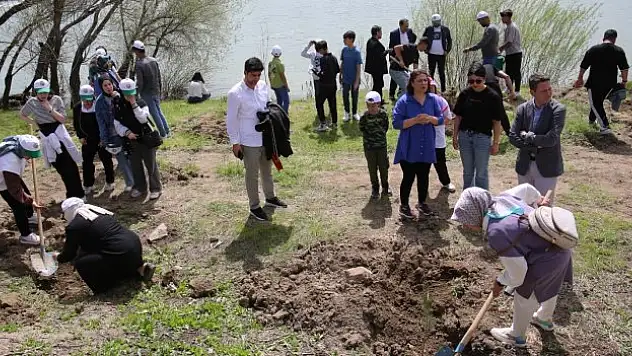 270 çam ağacı toprakla buluştu