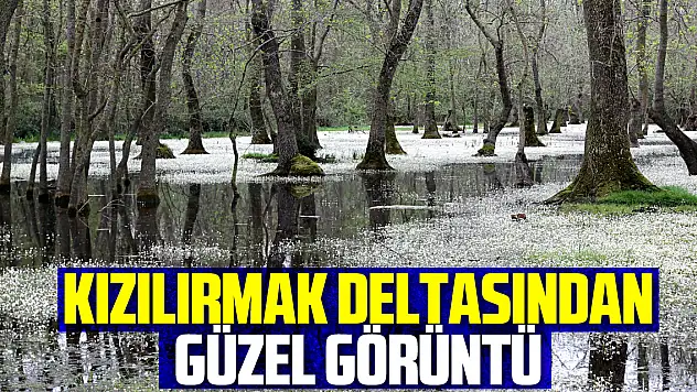 KIZILIRMAK DELTASINDAN GÜZEL GÖRÜNTÜ