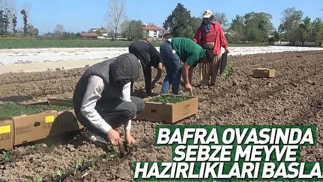 Bafra Ovasında Sebze Meyve Hazırlıkları Başladı