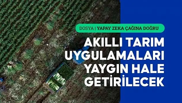 Tarımsal üretimde yapay zeka desteği artırılacak