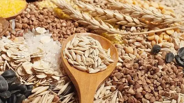 hububat ve bakliyat ihracatı yüzde 7 arttı