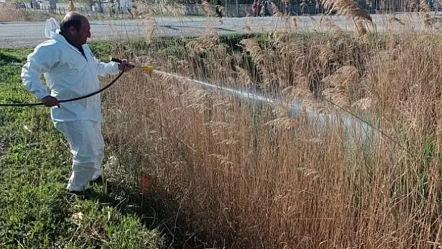 Iğrdır'da ilaçlama çalışması