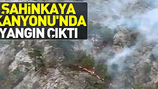 Şahinkaya Kanyonu'nda yangın çıktı