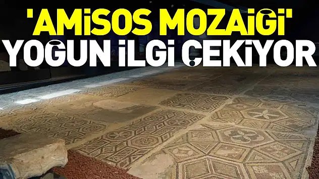 'Amisos Mozaiği' ilgi çekiyor