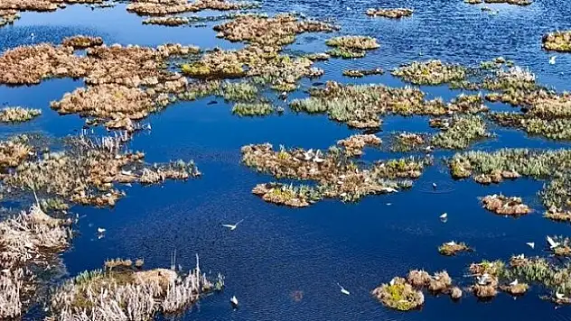 Çalı Gölü'ne göçmen kuşlar gelmeye başladı