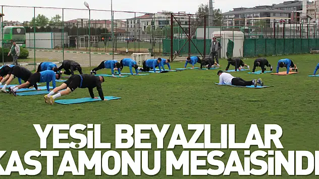 Yeşil beyazlılar, Kastamonu mesaisinde