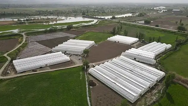 Erzincan'da yeni yatırımlarla sera varlığı 1000 dönümü aşacak