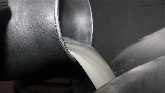 21,5 milyon ton çiğ süt üretildi