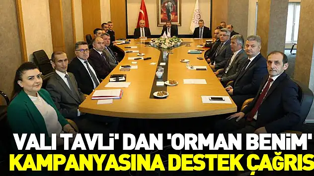 Vali Tavlı' dan destek çağrısı