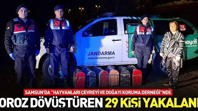 Horoz dövüştüren 29 kişi yakalandı