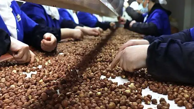 4 ayda 525,5 milyon dolarlık ihracat yapıldı