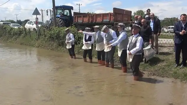 Bafra Ovası'nda '10. Çeltik Ekim Günü'