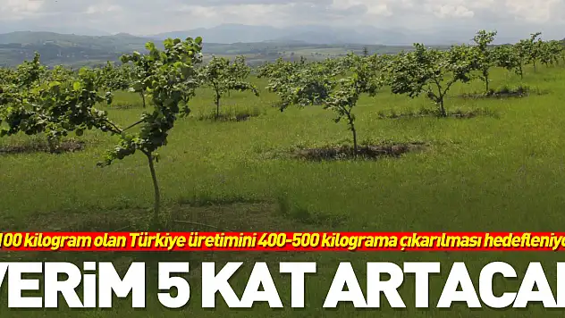 Verim 5 kat artacak