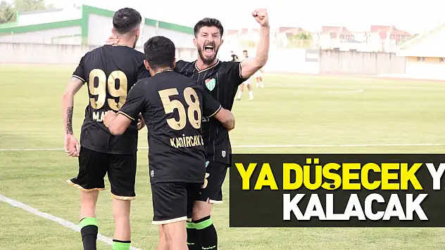 Ya düşecek Ya kalacak