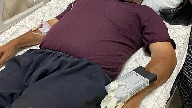 Yılan soktu Hastanelik oldu