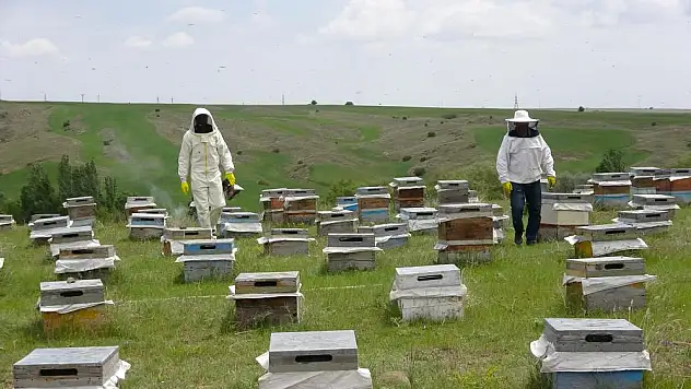 Bozok Yaylası'nı tercih ediyor