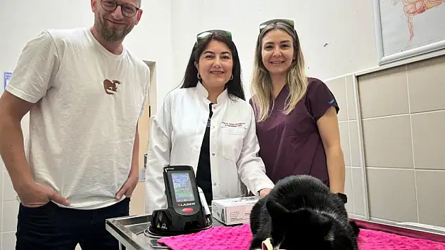 düşük doz lazer tedavi' hizmeti