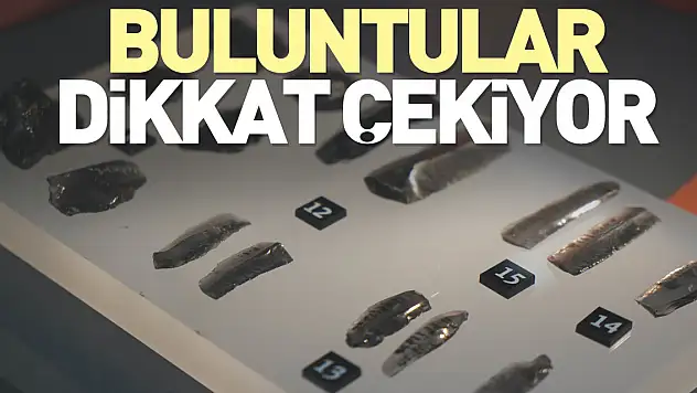 Buluntular dikkat çekiyor