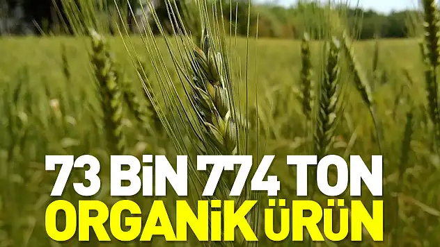 73 bin 774 ton organik ürün