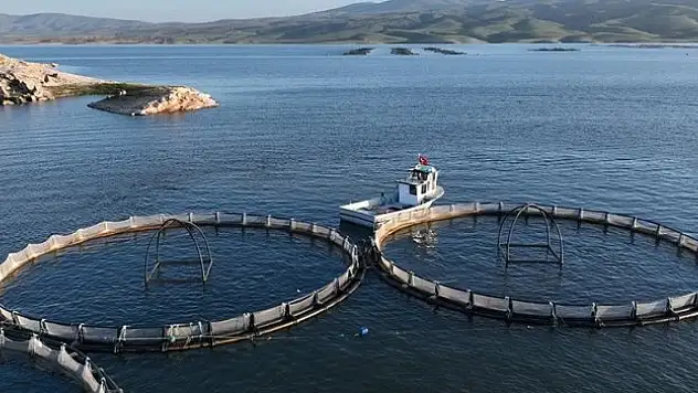 Kayseri'den yılda 5 bin tona yakın Türk somonu ihraç ediliyor