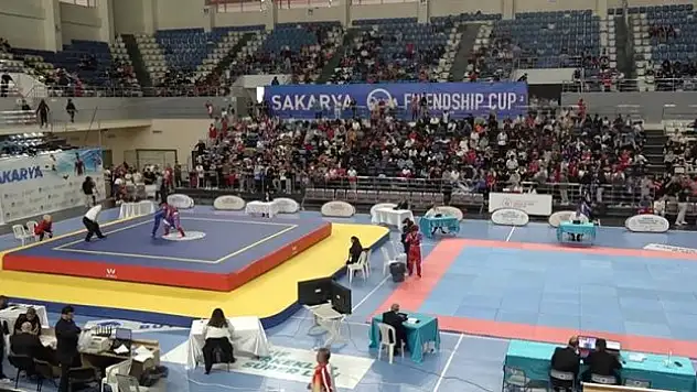 Wushuda 2024 'şampiyonluklar yılı' ilan edildi