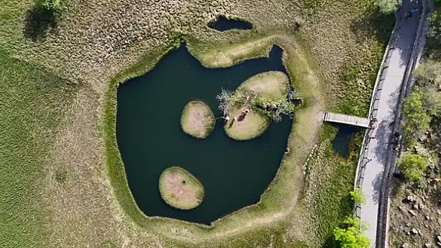 Bingöl'deki yüzen adalar doğaseverlerin rotasında