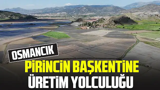 PİRİNCİN BAŞKENTİNE ÜRETİM YOLCULUĞU
