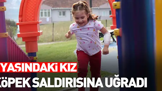 5 yaşındaki kız köpek saldırısına uğradı