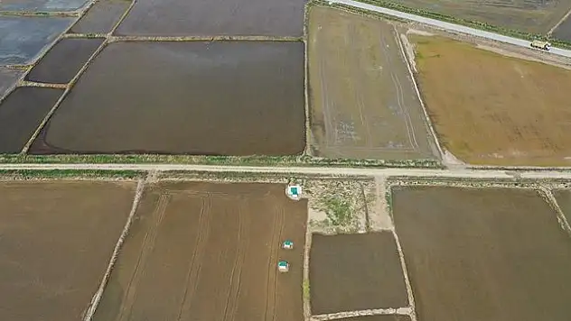 Edirne'de çeltik ekiminde sona gelindi