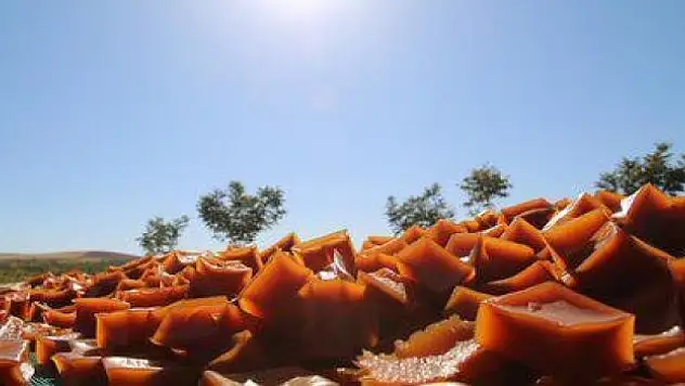 Şanlıurfa'nın 'Hasenik pestili' coğrafi işaretle tescillendi