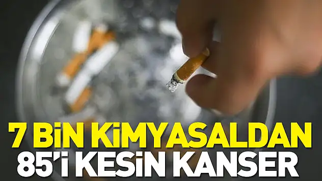 7 bin kimyasaldan 85'i kesin kanser