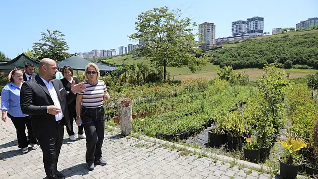 seracılık faaliyetleri