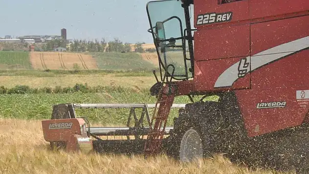 Arpa hasadı başladı