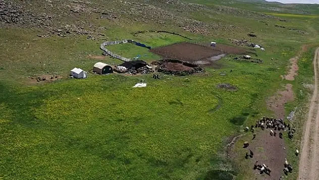 Göçerler Sinek Yaylası'nda çadırlarını kurmaya başladı