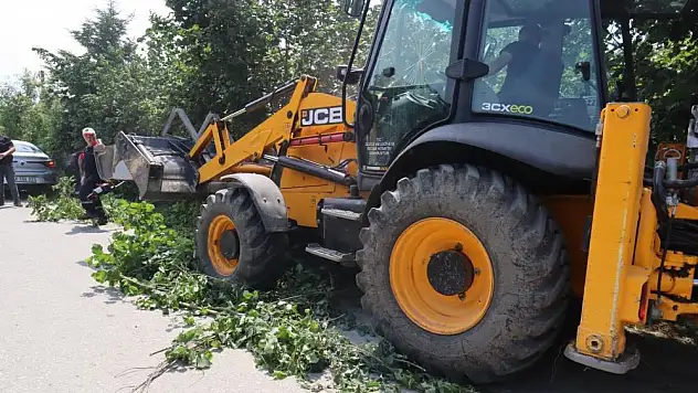 Belediyeden hummalı çalışma
