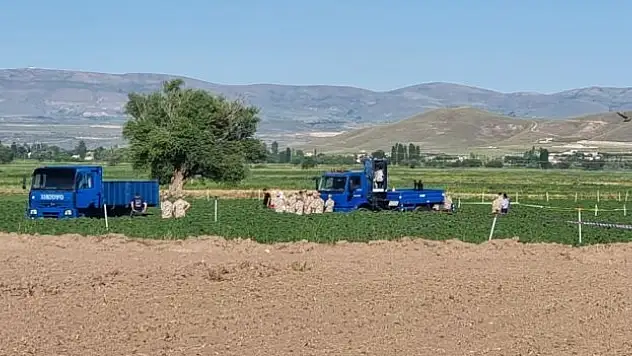 Eğitim uçağının enkazı kaldırıldı