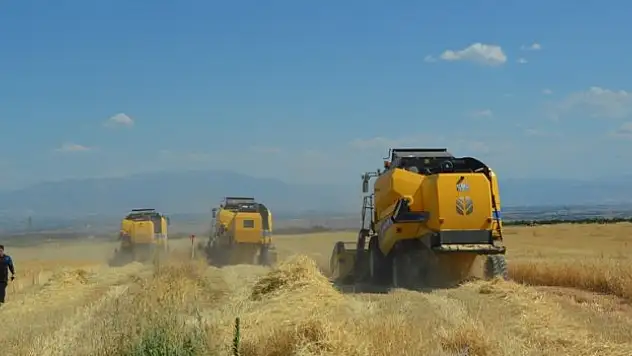 Malatya'da yılın ilk buğday hasadı yapıldı