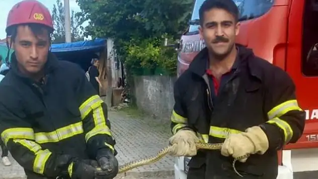 İtfaiyeciler yılan mesaisinde