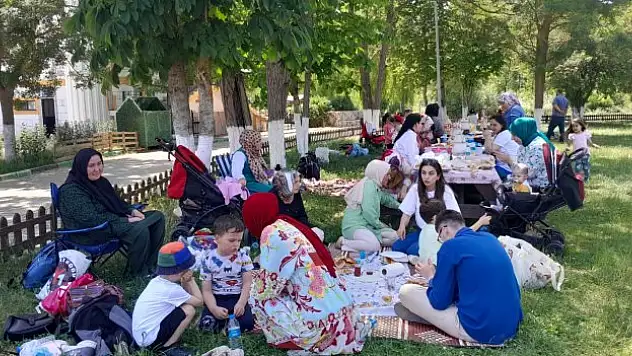 Vatandaşlar kendini pikniğe attı
