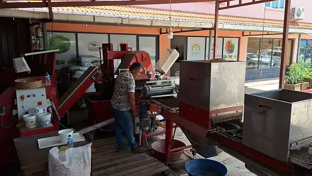 Kışlık sebze hazırlıkları başladı