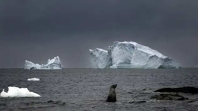 Isınan su buzulları eritiyor