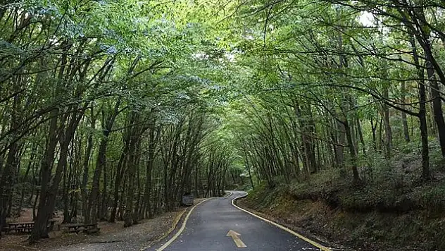 Türkiye genelinde 27 ilde ormanlara giriş yasaklandı
